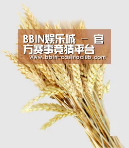 BBIN娱乐城 - 官方赛事竞猜平台