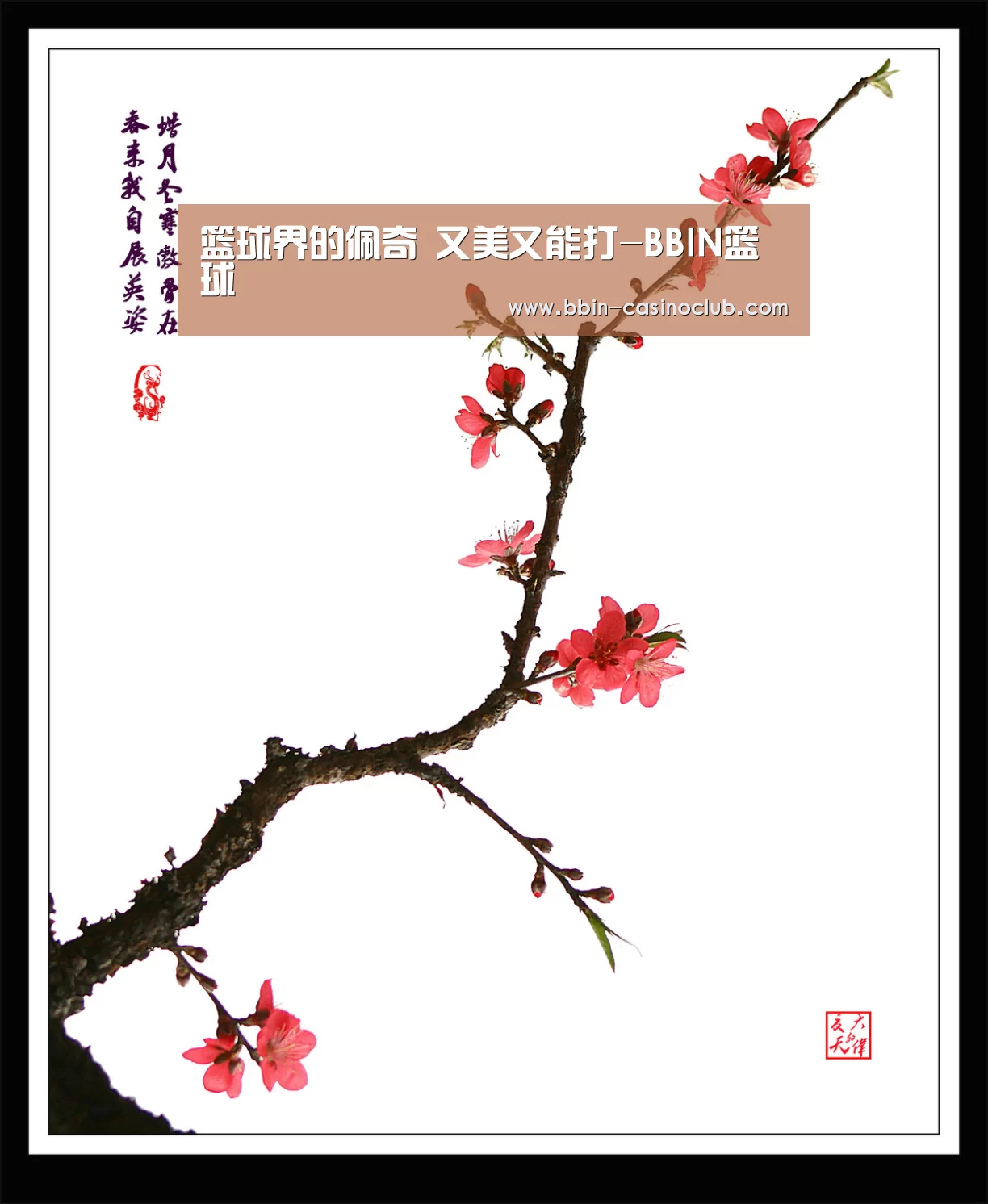 篮球界的佩奇 又美又能打-BBIN篮球(图2) BBIN足球