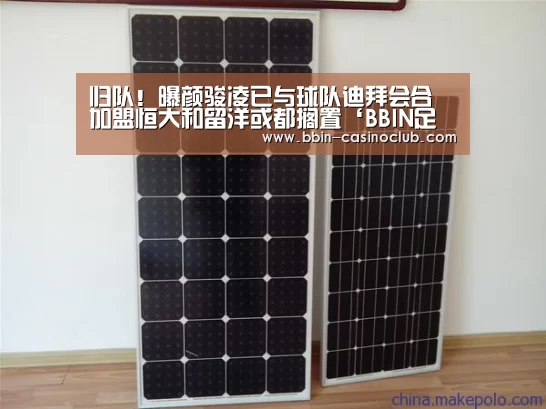 BBIN篮球