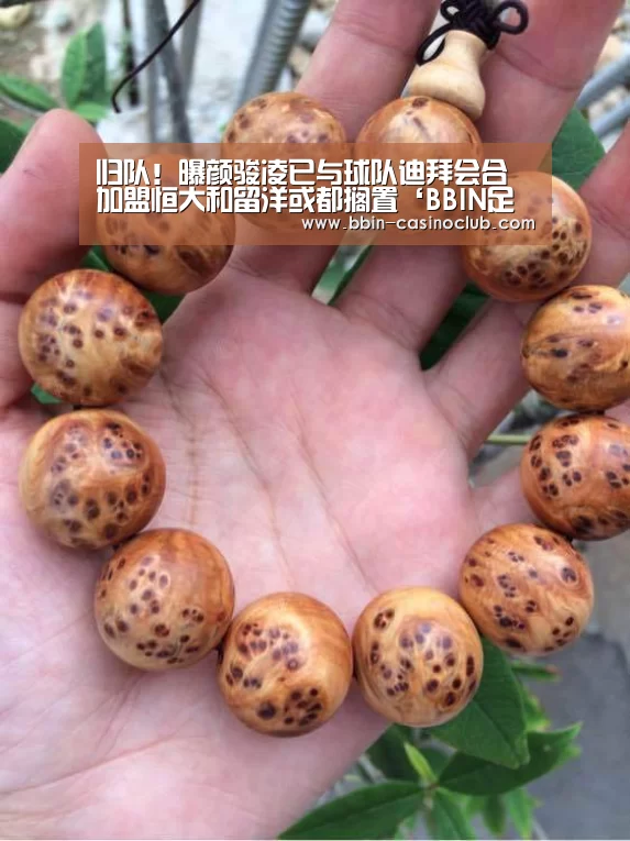 BBIN体育