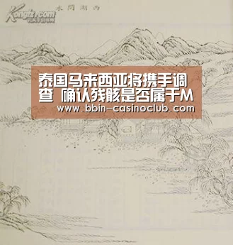 泰国马来西亚将携手调查 确认残骸是否属于MH370航班“BBIN足球”(图1) BBIN电竞